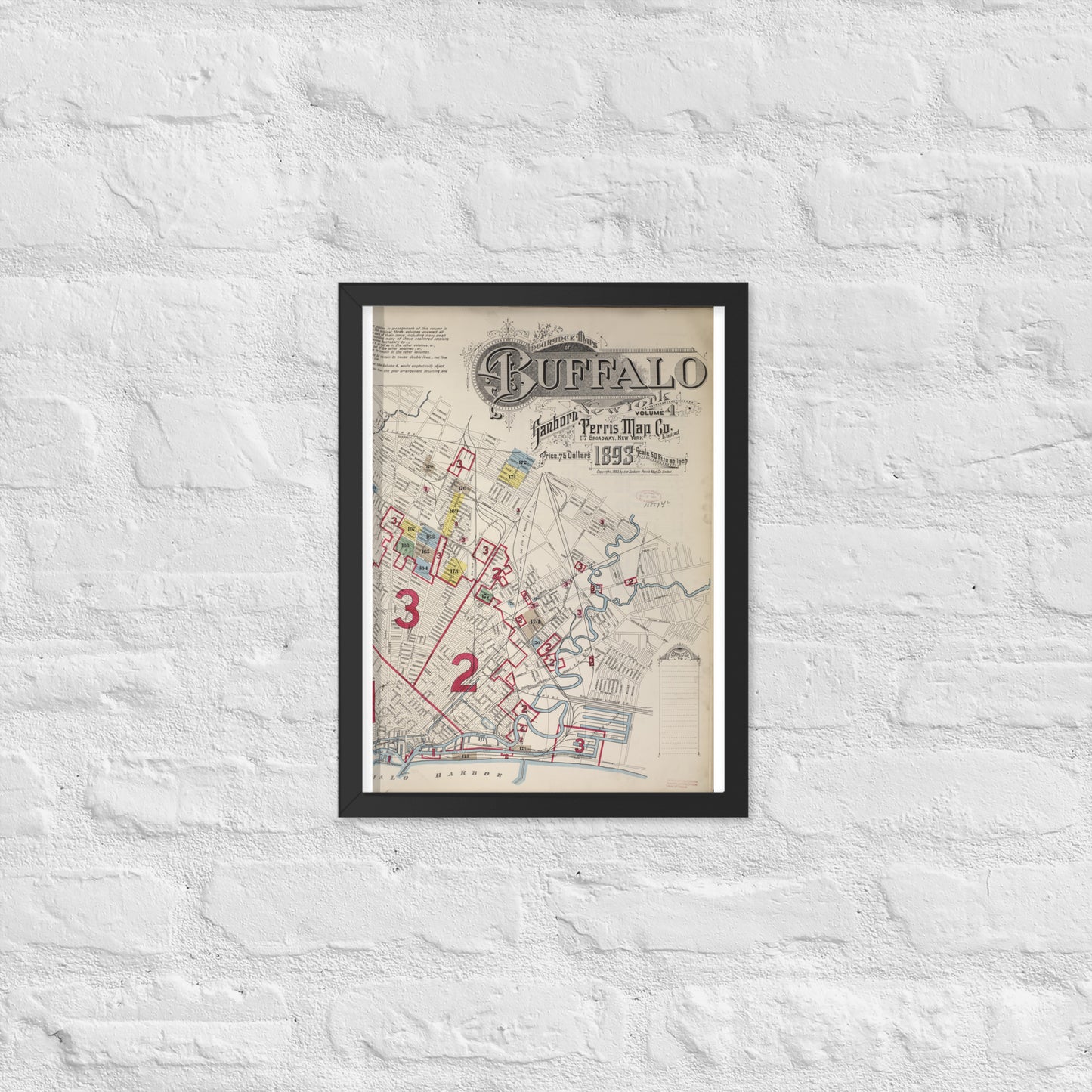 Buffalo, New York (1893)