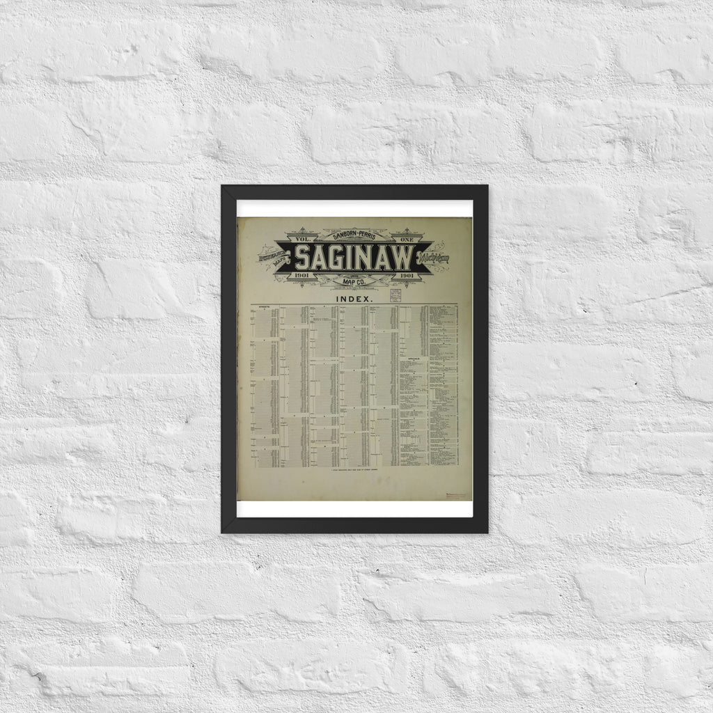 Saginaw, Michigan (1901)
